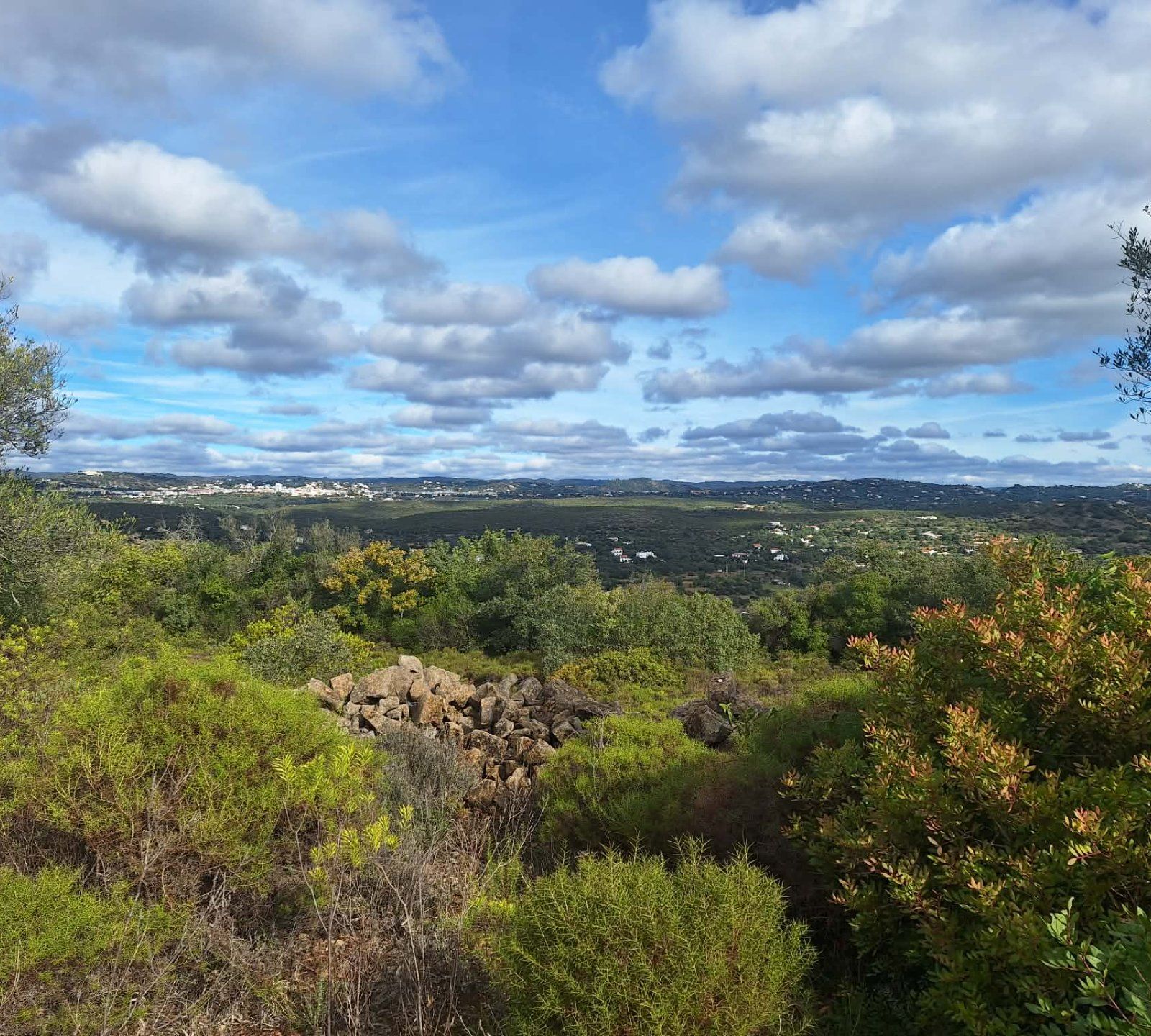 Terreno com ruína no concelho de Faro - Foto 2