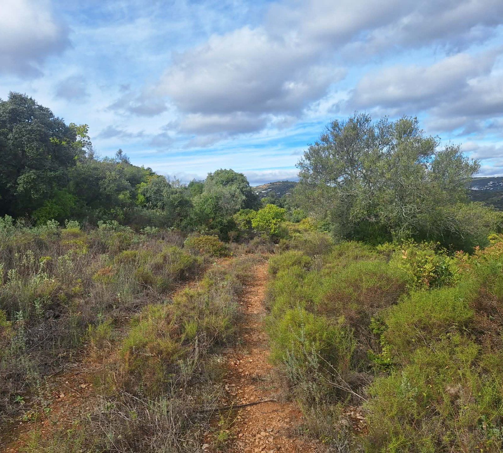 Terreno com ruína no concelho de Faro - Foto 4