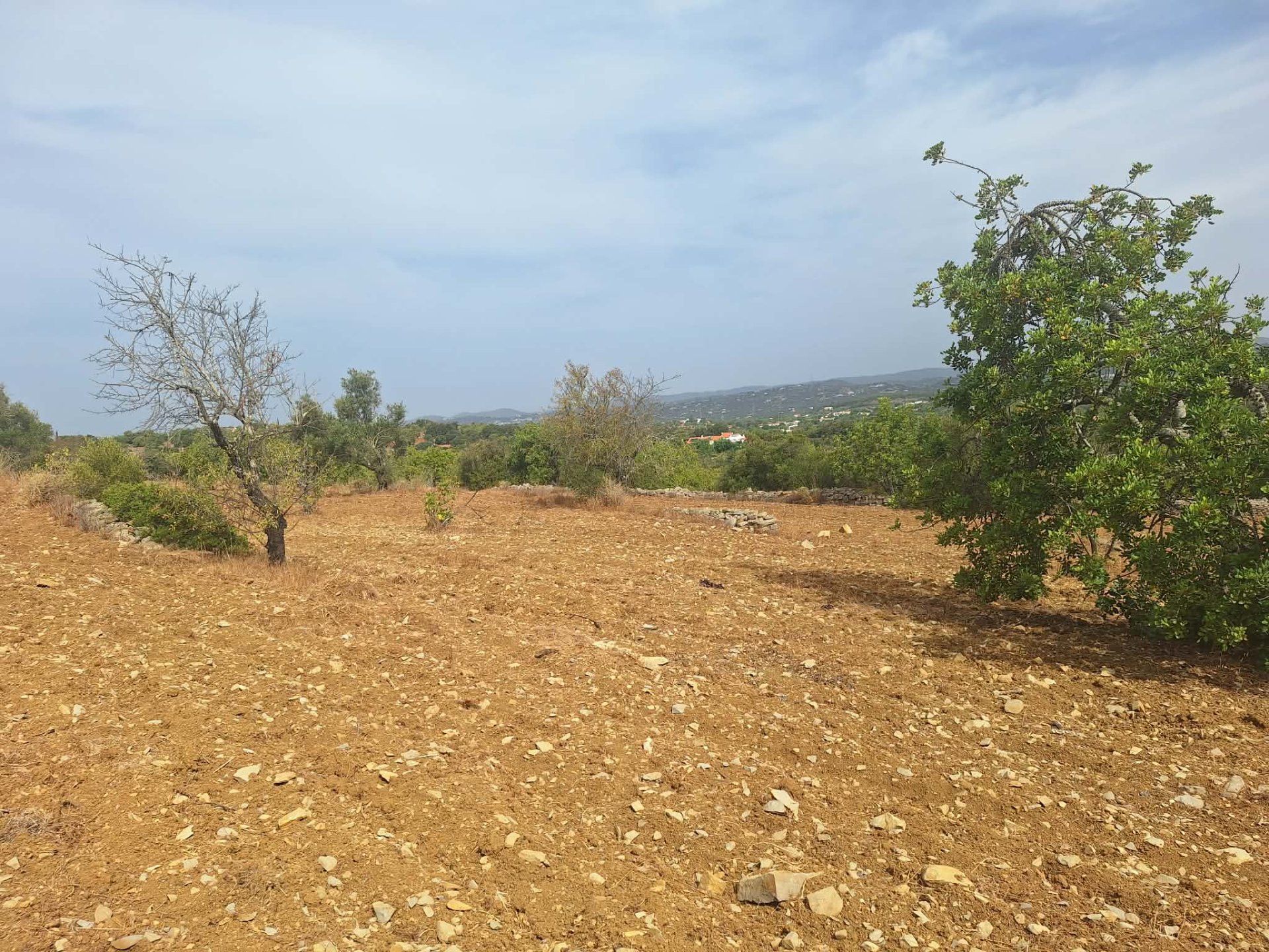 Terreno