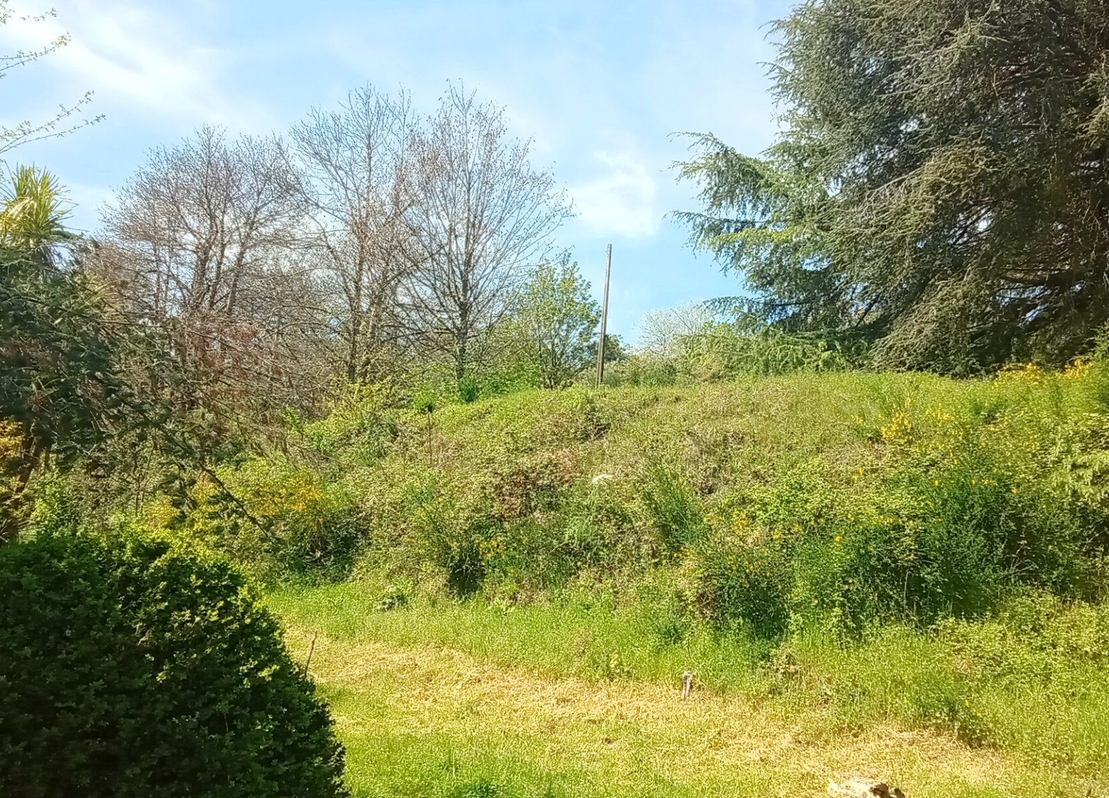 Terreno para Venda em Lamego: Grande Oportunidade de Investimento - Foto 2
