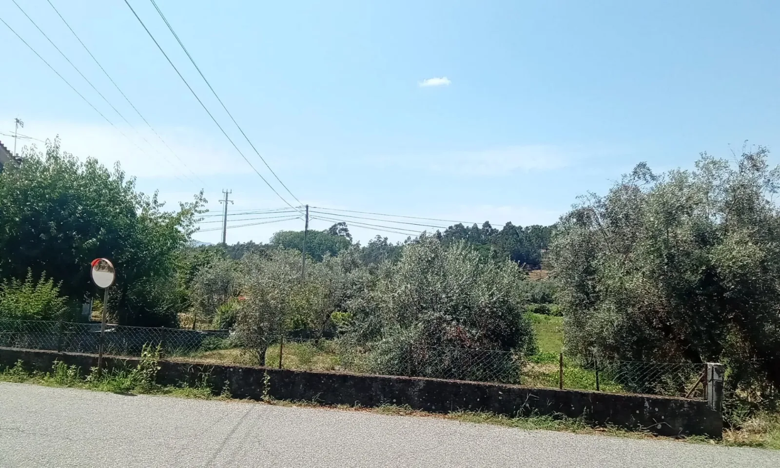 Terreno à Venda em Tondela - Espaço e Segurança para a Família - Foto 4