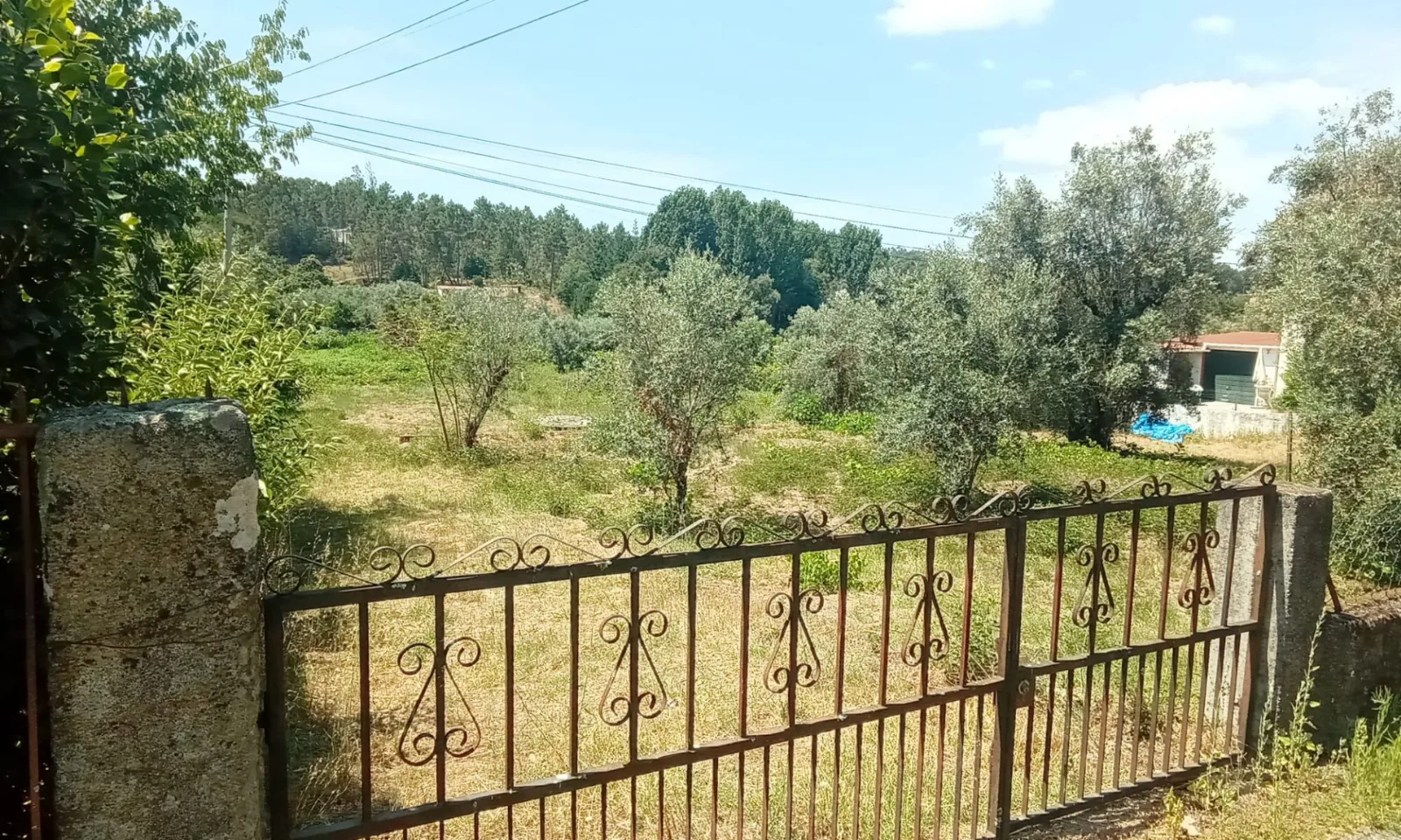 Terreno à Venda em Tondela - Espaço e Segurança para a Família