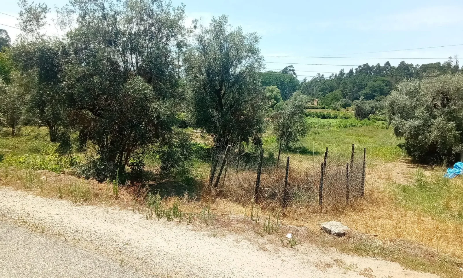 Terreno à Venda em Tondela - Espaço e Segurança para a Família - Foto 5