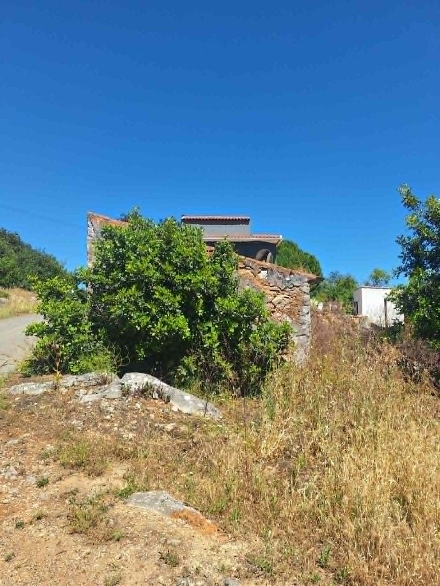 Terreno com ruína - Foto 3
