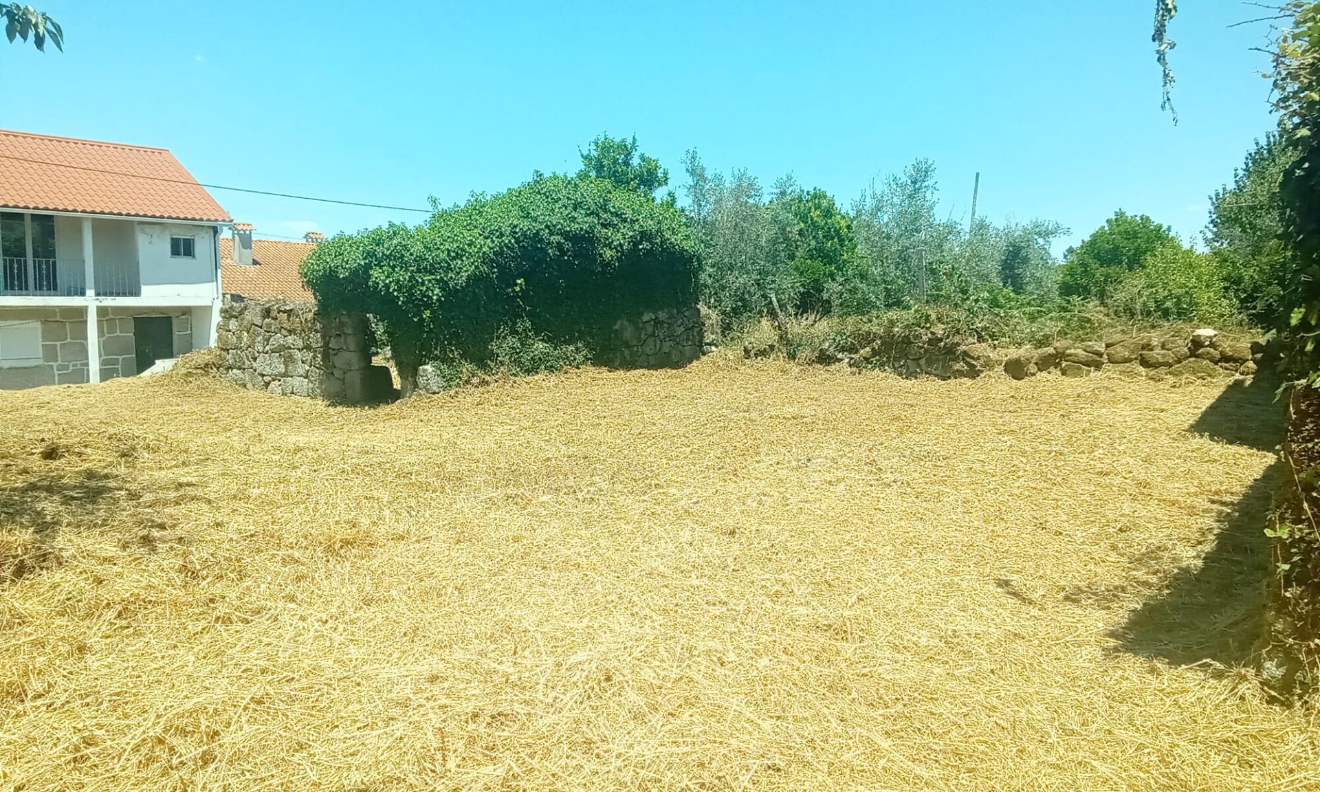 Land