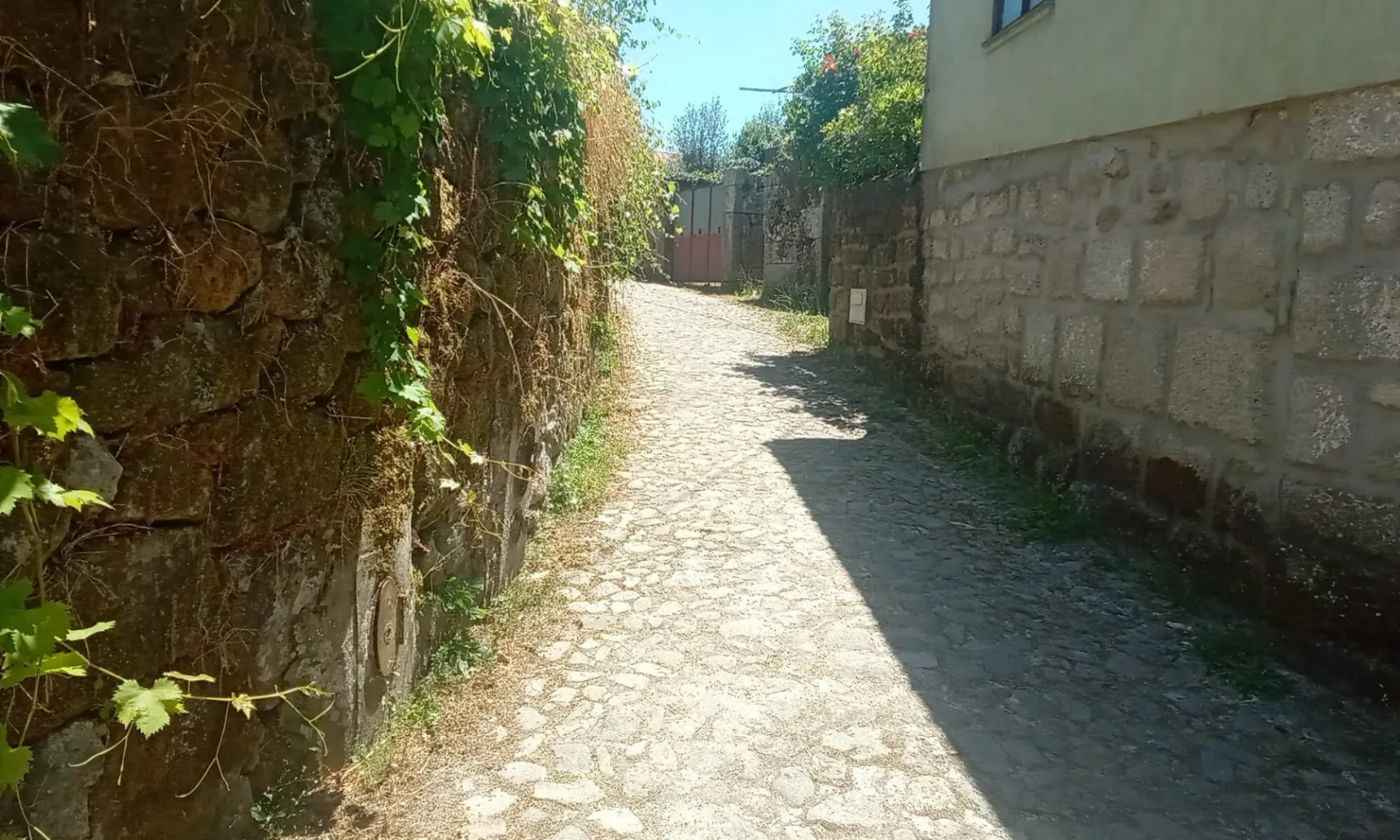 Terreno à Venda em Queirã, Viseu - Excelente Oportunidade - Foto 2