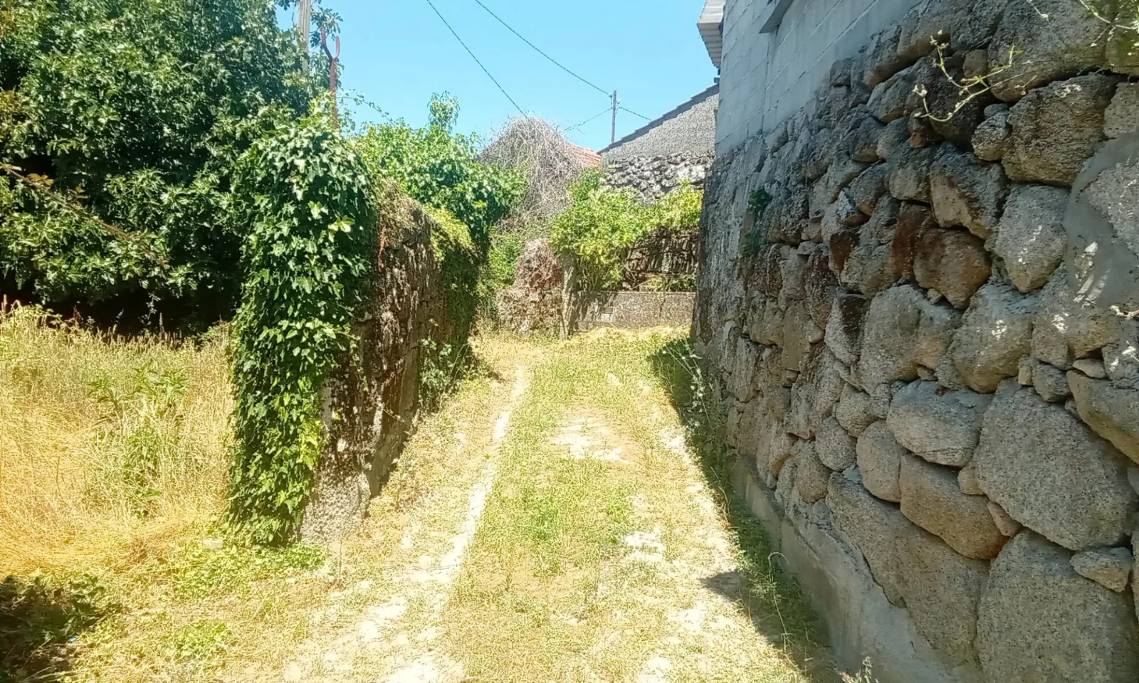 Terreno à Venda em Queirã, Viseu - Excelente Oportunidade - Foto 4