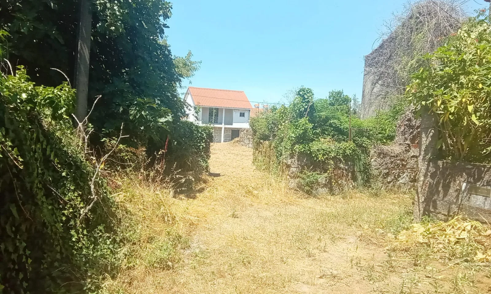 Terreno à Venda em Queirã, Viseu - Excelente Oportunidade - Foto 5
